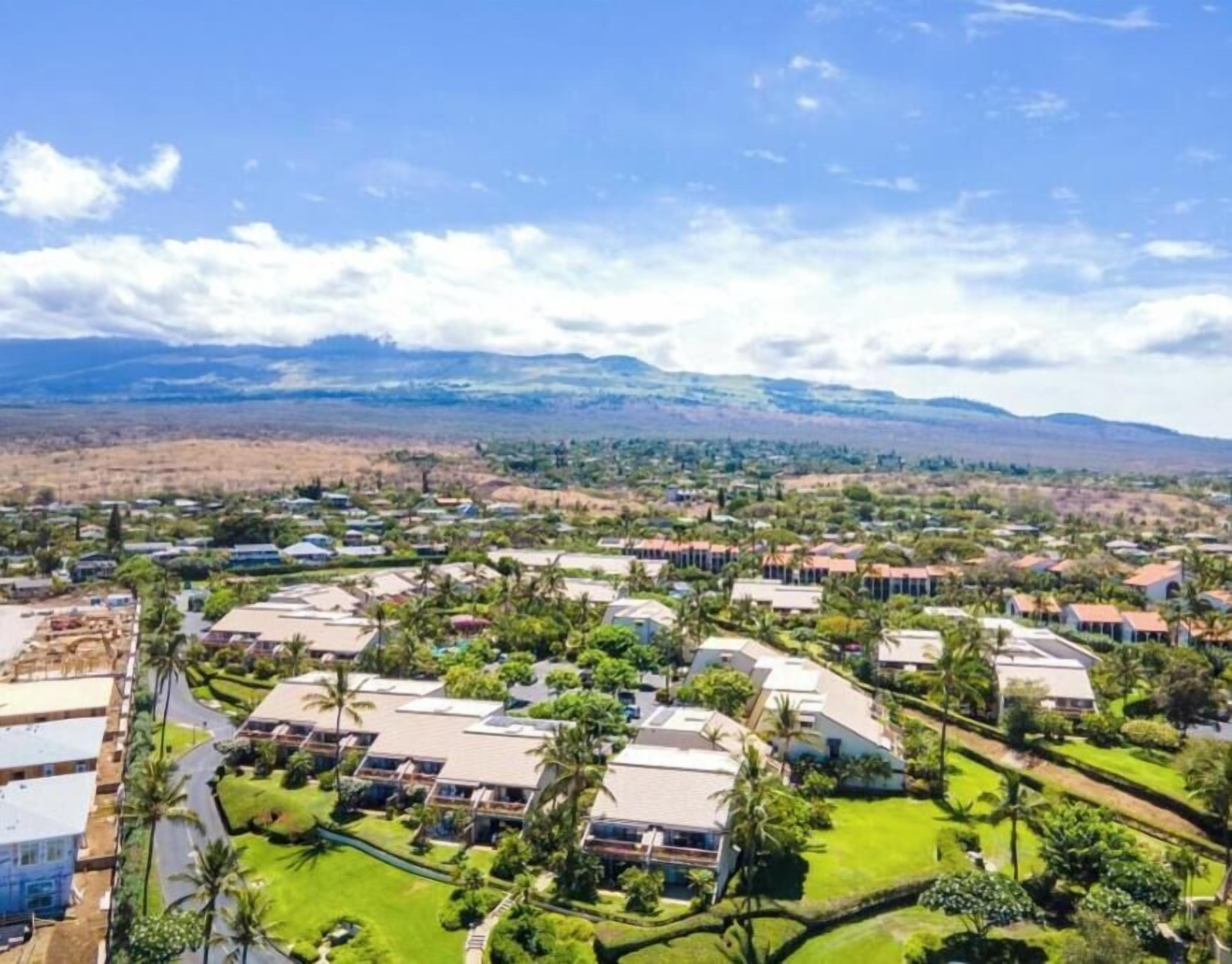 A residential area with houses, green lawns, and palm trees.
