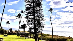 A view of a golf course with a bench in the foreground. - Menehune Shores 227 2 Bedroom Condo (Kihei)