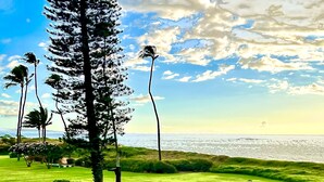 A coastal landscape with a grassy area, trees, and a parked car. - Menehune Shores 227 2 Bedroom Condo (Kihei)