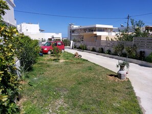 Stroll through a residential area with a beautifully maintained lawn and a charming garden.