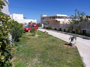 Stroll through a residential area with a beautifully maintained lawn and a charming garden.