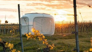 A tent in a vineyard with a sunset in the background. - Romantik zwischen Weinreben - Cube (Roemerberg)