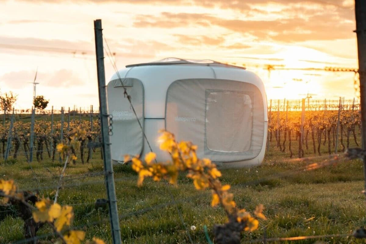 A tent in a vineyard with a sunset in the background.