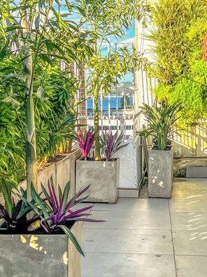 Terrein van de accommodatie