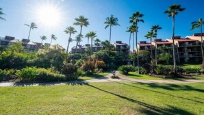 A resort with multiple-story buildings, palm trees, and a well-maintained lawn.