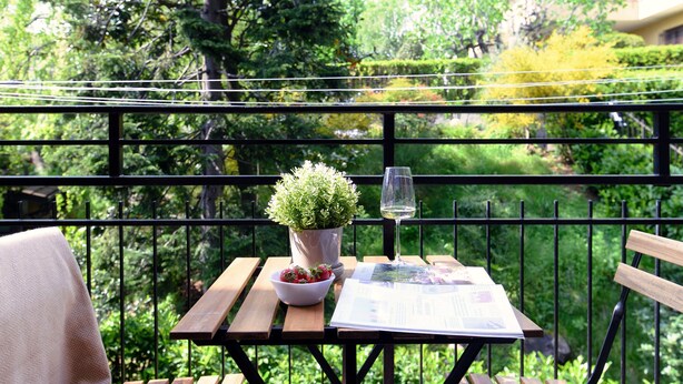 A wooden table with a potted plant, a bowl of strawberries, a glass of white wine, and a menu on a balcony with a metal railing. - Moonlight (San Fermo della Battaglia)