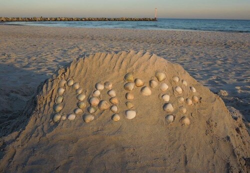 Cozy log cabin for up to 4 people, free WLAN, fenced property