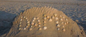 Cozy log cabin for up to 4 people, free WLAN, fenced property