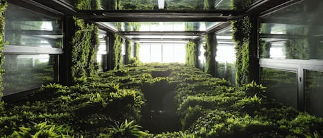 المنشأة من الخارج