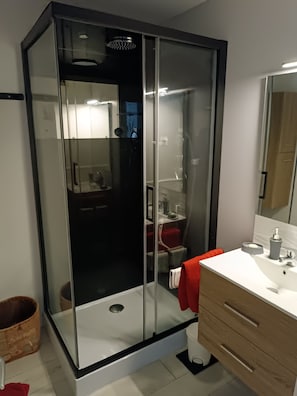 Hair dryer, towels, toilet paper