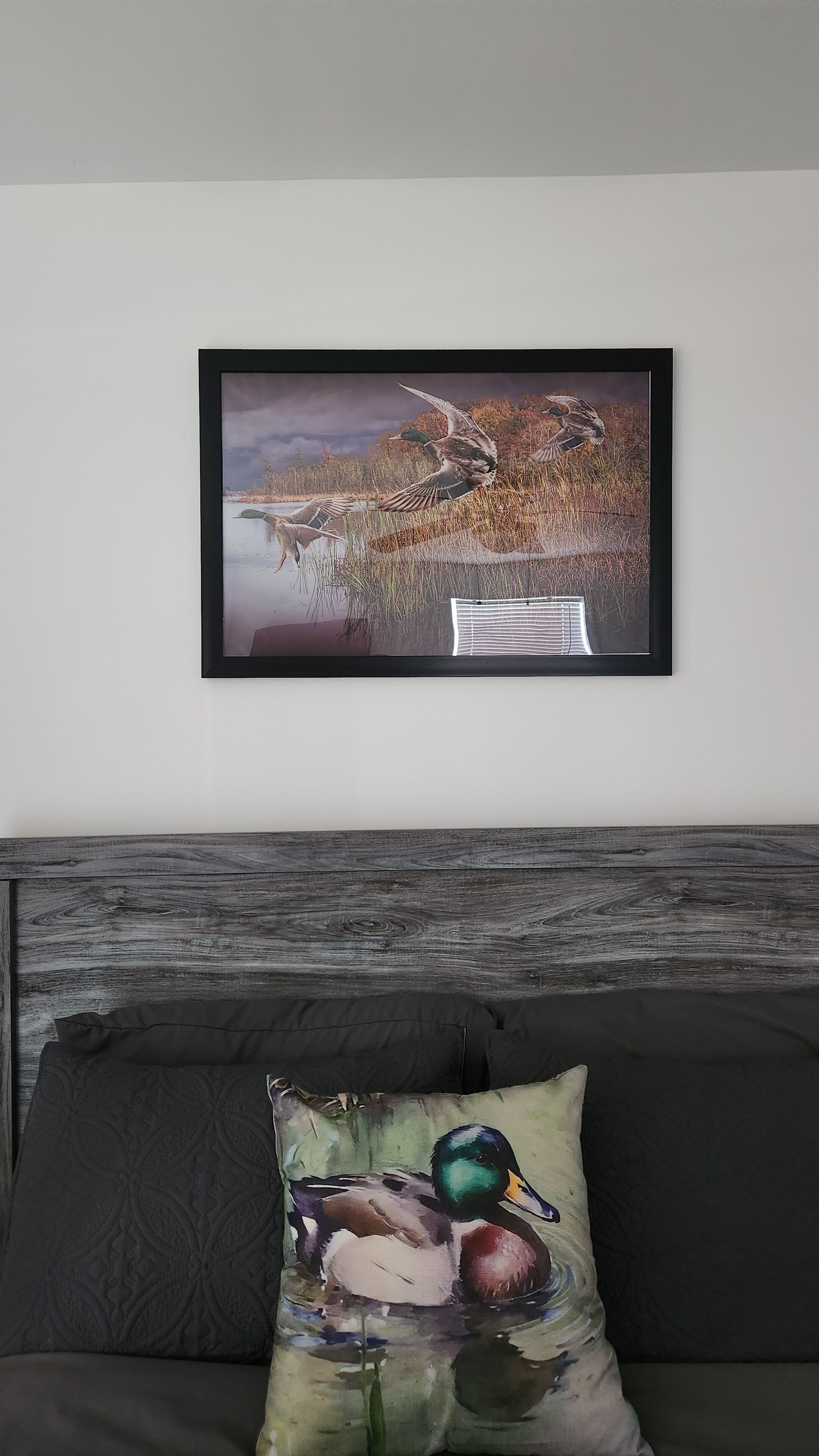 Une photographie d’animaux sauvages encadrée est accrochée au mur au-dessus d’un canapé, et un coussin orné d’un motif de canard y est posé.