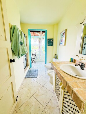 Shower, hair dryer, bidet, towels