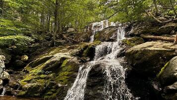 Una cascada se precipita sobre rocas cubiertas de musgo en un área boscosa.