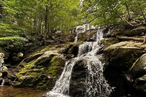 A waterfall cascading over moss-covered rocks in a forested area.