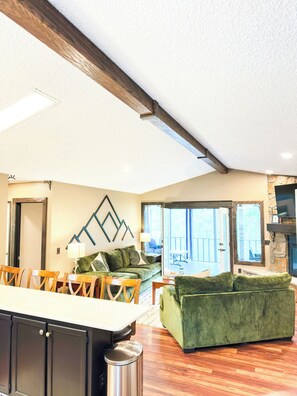 Smart TV, fireplace, books