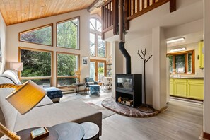 Smart TV, fireplace, books