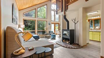 Smart TV, fireplace, books