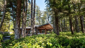 A cabin surrounded by tall trees and dense foliage.