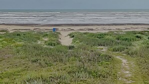 A beach with a sandy path leading to the ocean, surrounded by grassy areas. - Whispering Sands Beachfront | Community Pool (Galveston)