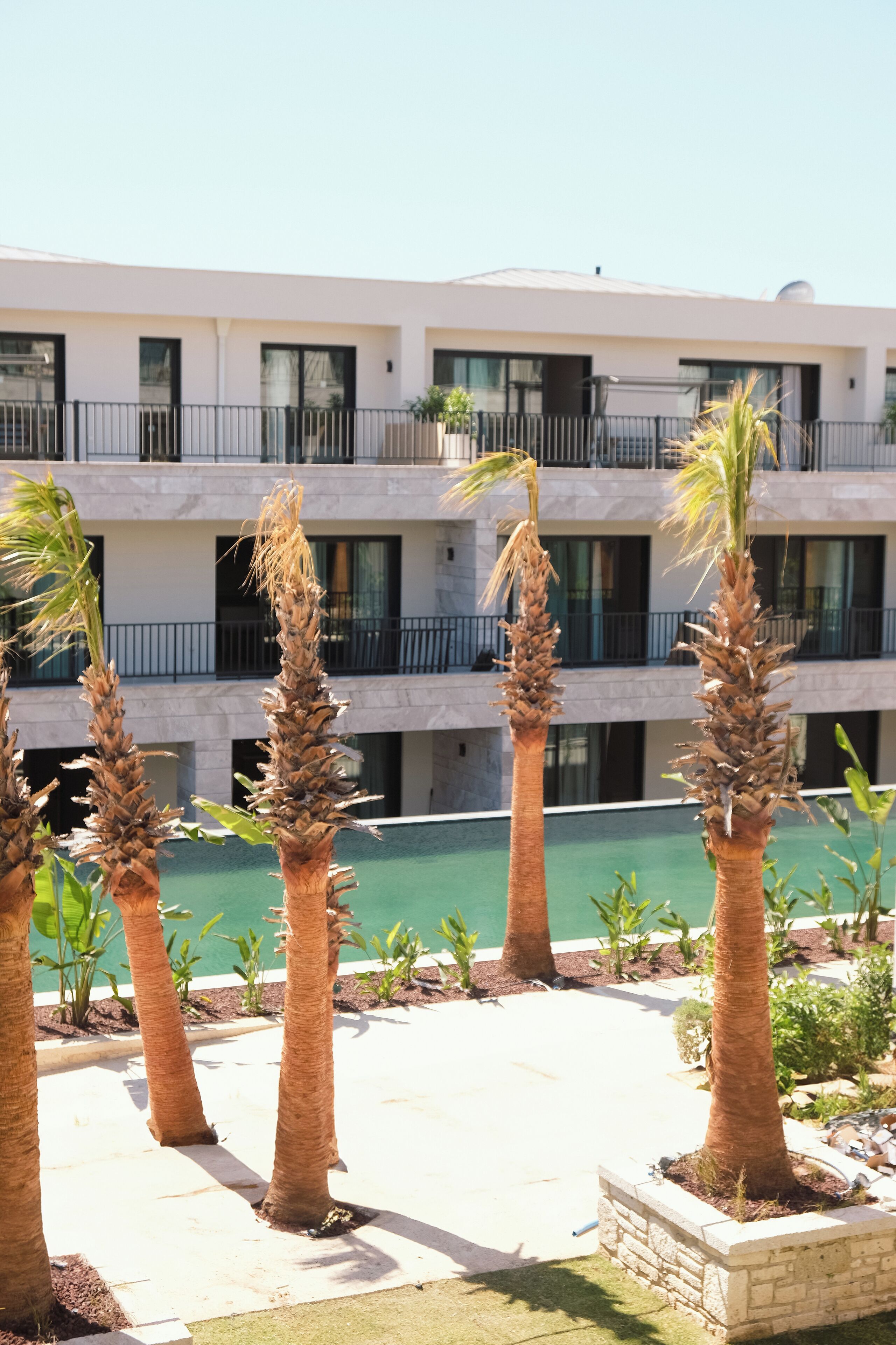 A multi-story hotel with a pool area, palm trees, and a modern architectural design.
