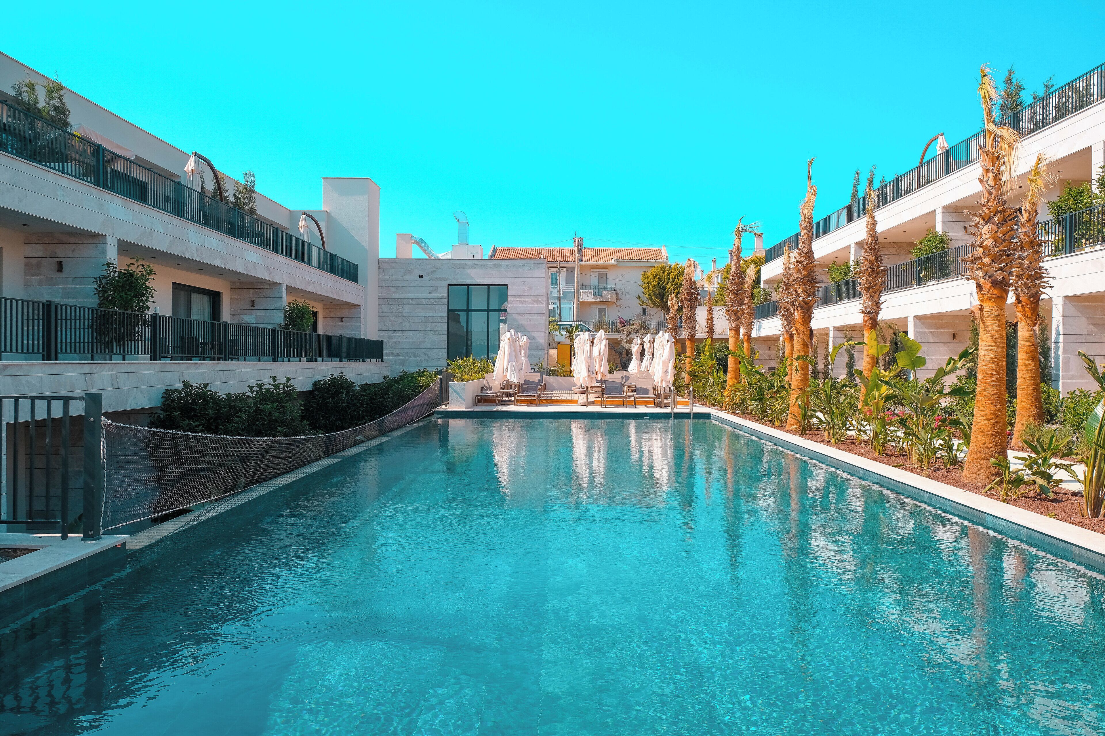A swimming pool with a netted area, surrounded by palm trees and lounge chairs, with a clear blue sky above.