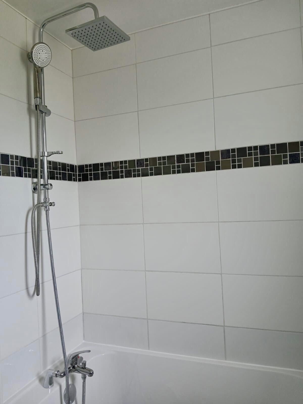 Hair dryer, bidet, towels, soap