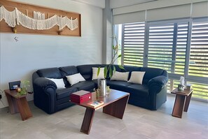 Televisor 