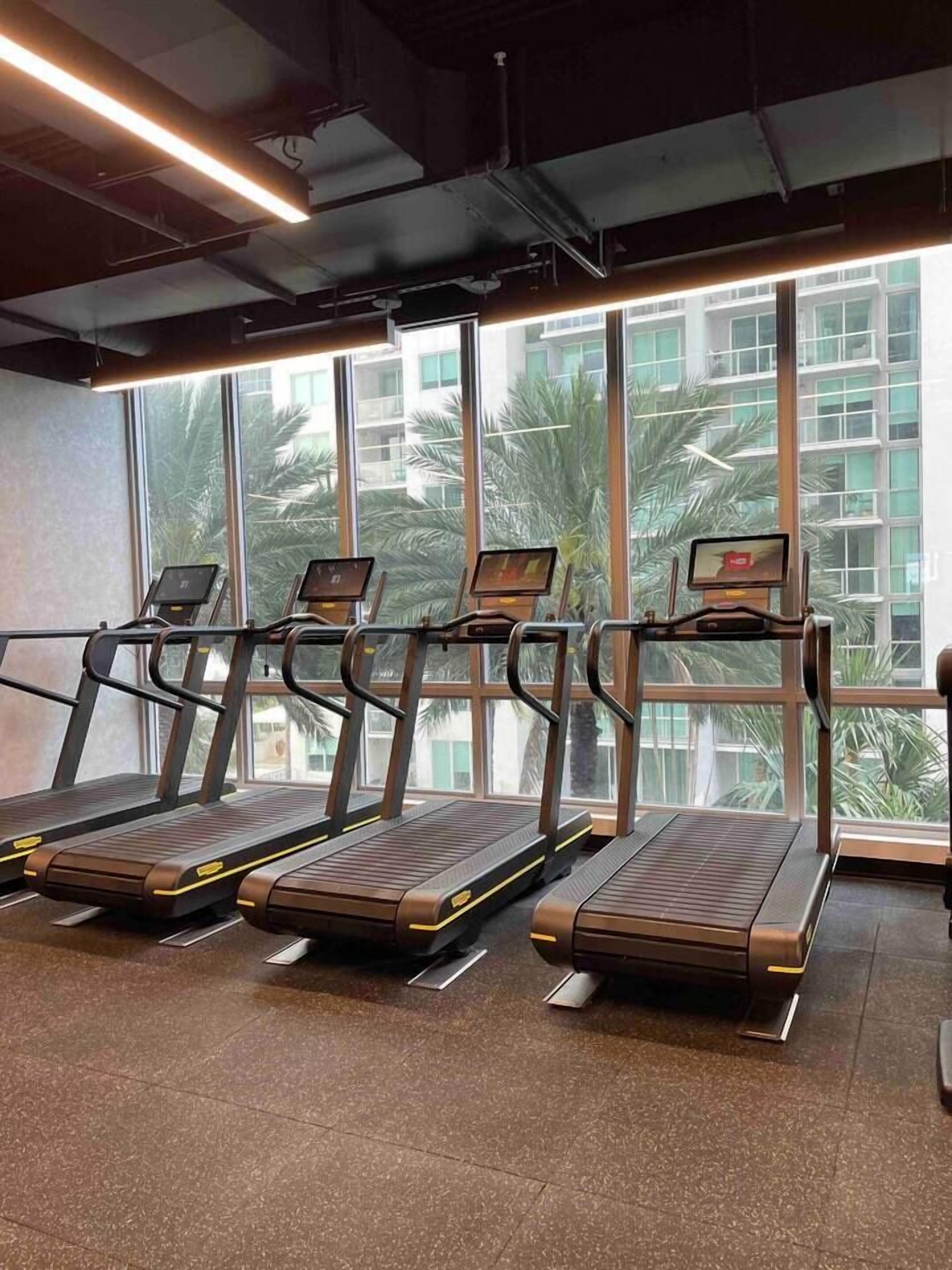 Ein Fitnessstudio mit Laufbändern, die an einer Wand mit großen Fenstern angeordnet sind, sodass natürliches Licht und Blick auf Palmen und Gebäude im Freien möglich sind.