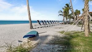 Una playa con filas de tumbonas y palmeras.
