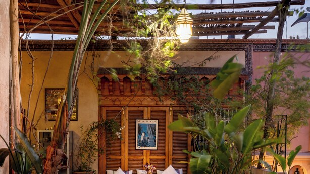 Une terrasse accueillante avec un banc en bois, des plantes en pot et un sol carrelé.