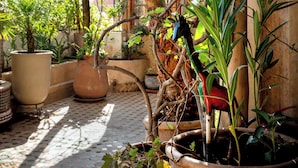 Un espace extérieur abrité, agrémenté de plantes en pot, d’une pergola en bois et d’un sol carrelé.