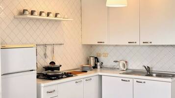 Kühlschrank, Mikrowelle, Herdplatte, Kochgeschirr/Geschirr/Besteck