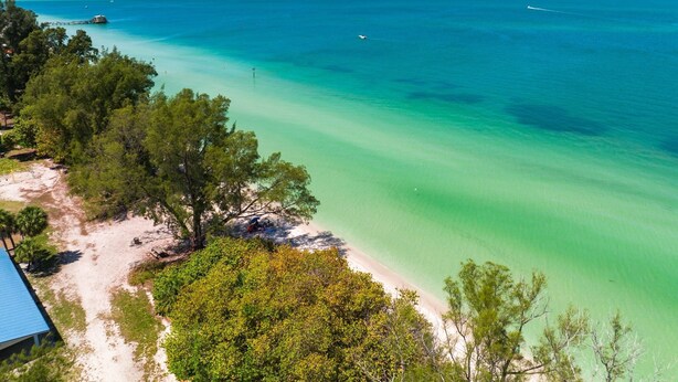 Ein Strand mit klarem türkisblauem Wasser, sandigem Ufer und üppiger grüner Vegetation.
