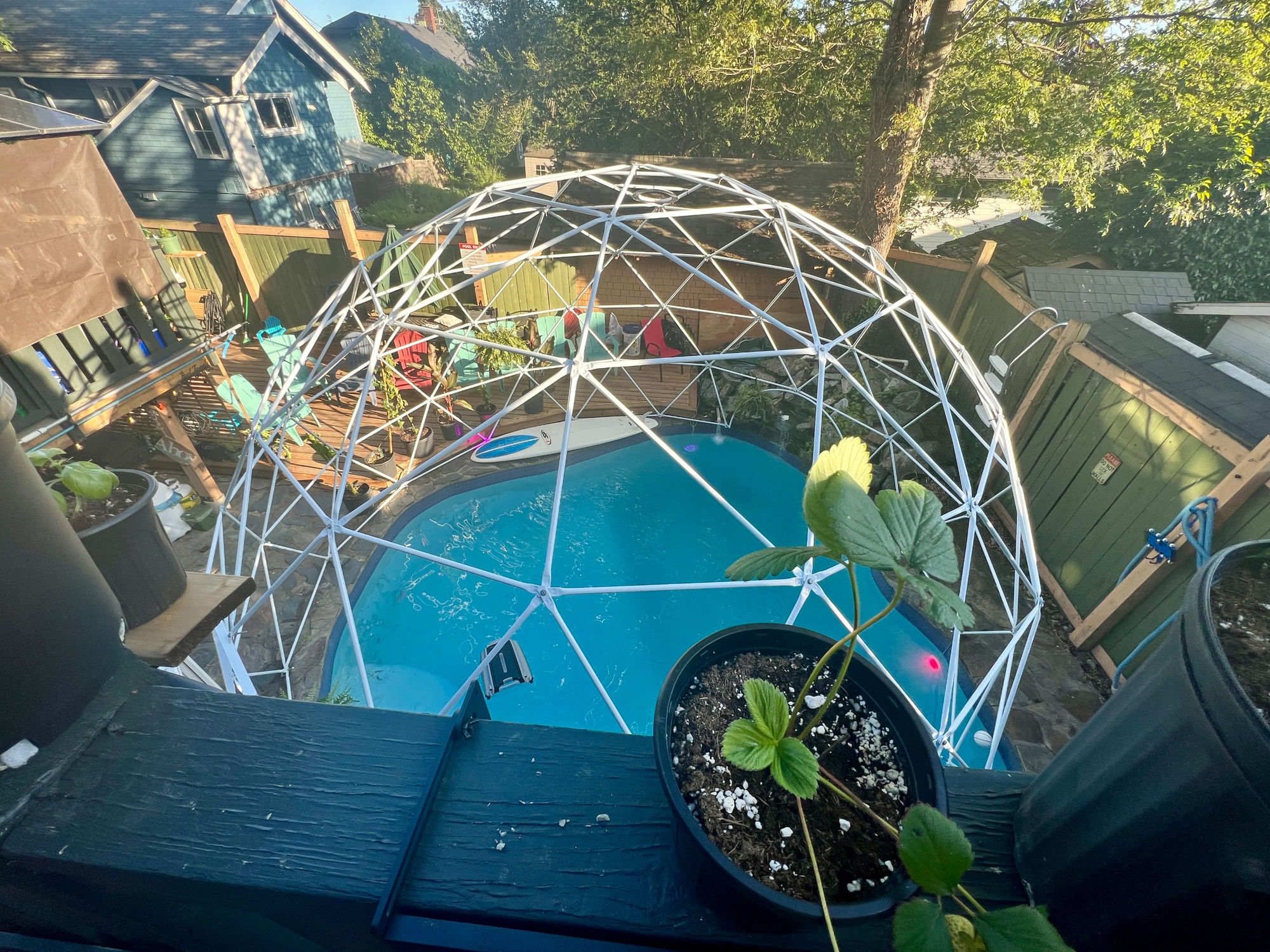Une piscine dotée d’une structure en forme de dôme géodésique, entourée de plantes en pot et de mobilier d’extérieur.