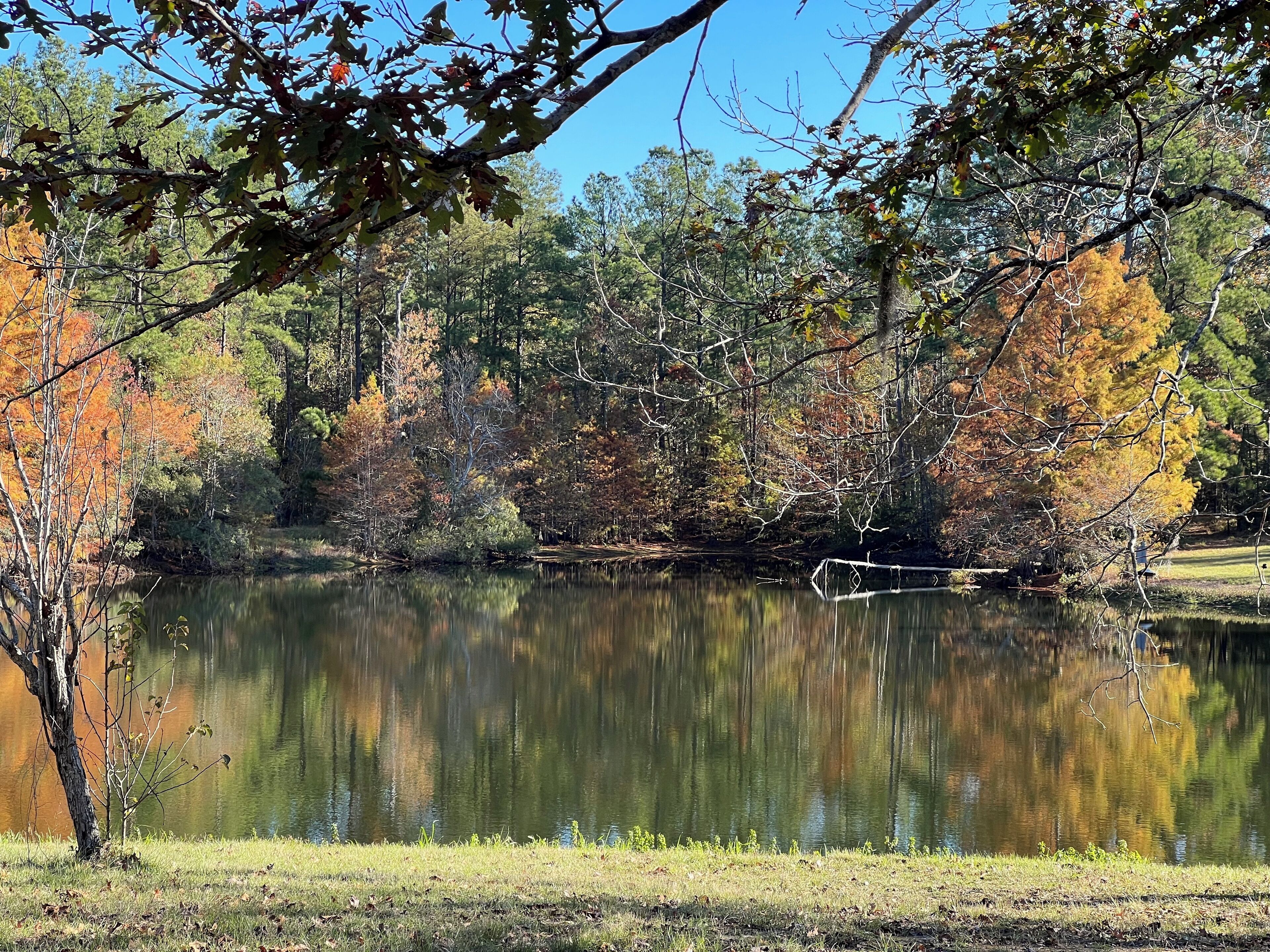 A tranquil lake surrounded by trees with autumn foliage, reflecting the sky and trees.
