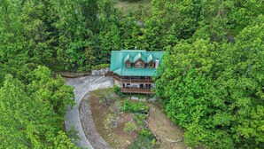 A two-story cabin with a green roof, surrounded by dense forest.