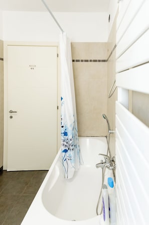 Shower, free toiletries, hair dryer, bidet