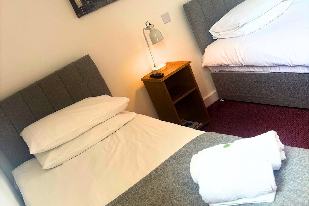 A hotel room with a bed, a nightstand, a lamp, and a red carpet.