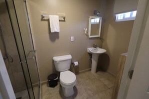 Ducha, secador de pelo, toallas, jabón