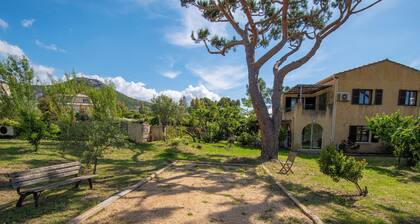 Elda : appart rez de jardin et piscine chauffée à 7 min de Calvi et plages