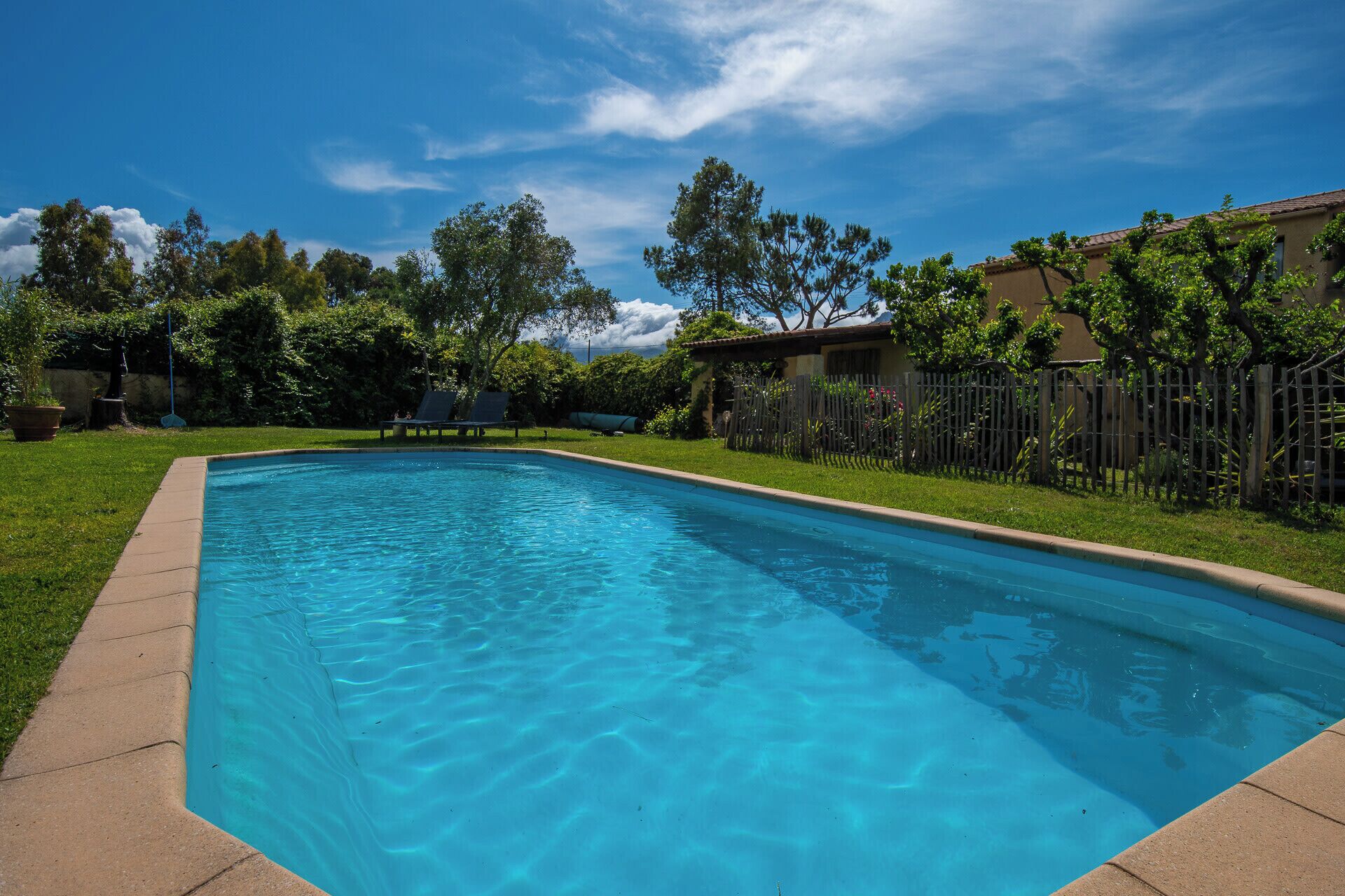 A rectangular swimming pool with a clear blue water surface, surrounded by a grassy area and a wooden fence.