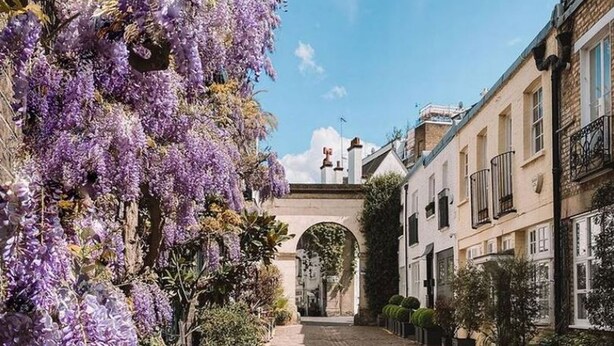Una calle estrecha con un arco cubierto, rodeada de edificios con balcones y plantas en macetas.