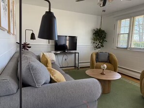 TV