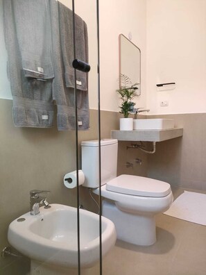 Shower, bidet, towels, soap