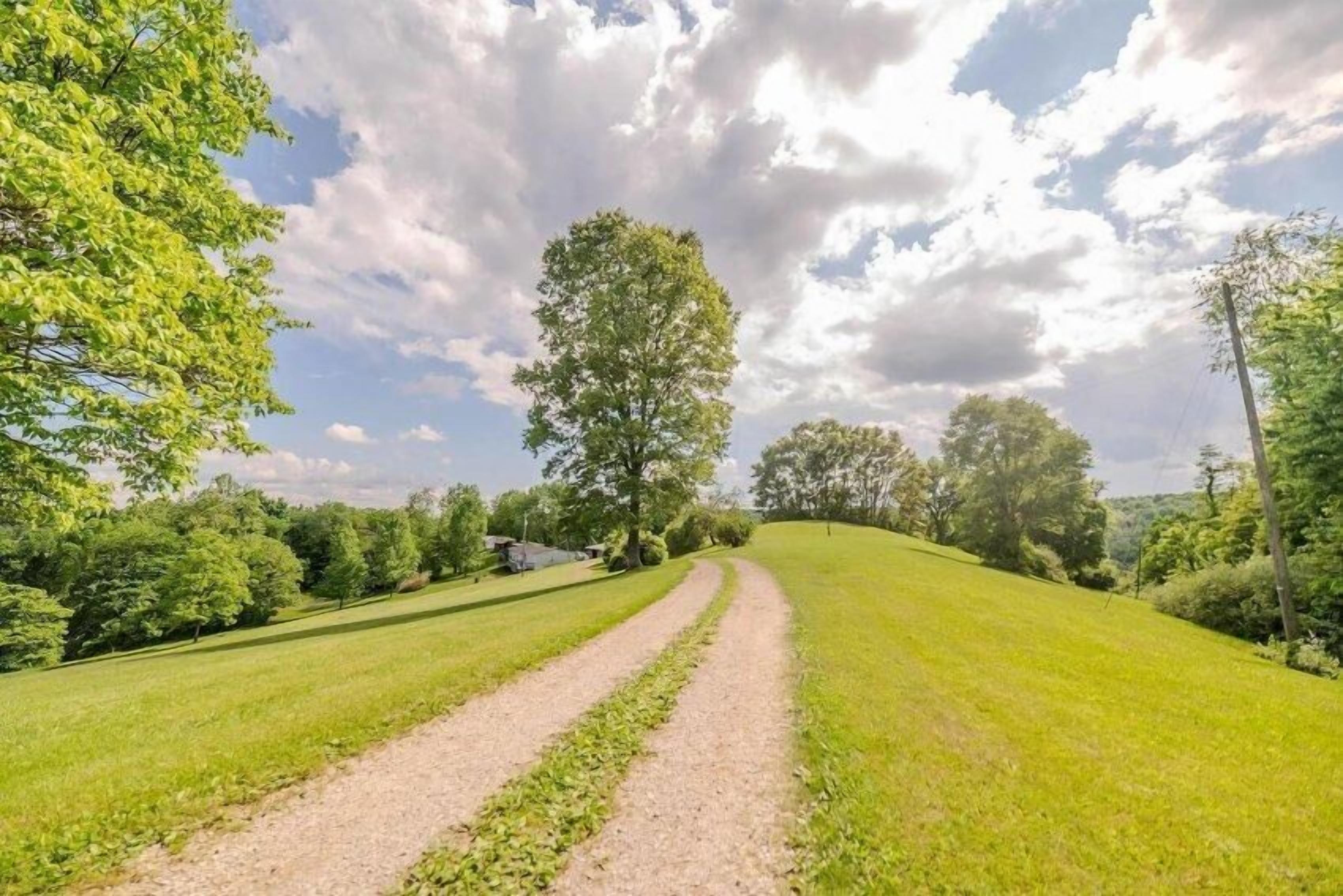 Un paysage rural avec un chemin de terre qui traverse un champ d’herbe, entouré d’arbres et sous un ciel dégagé.