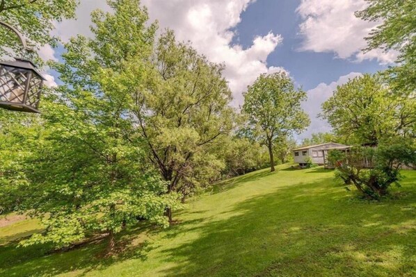 A grassy area with trees and a small building.
