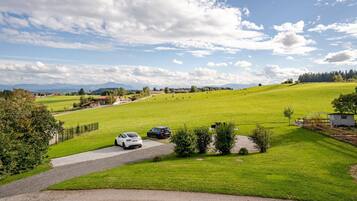 Ländliche Landschaft mit einer Straße, grünen Feldern und fernen Bergen.