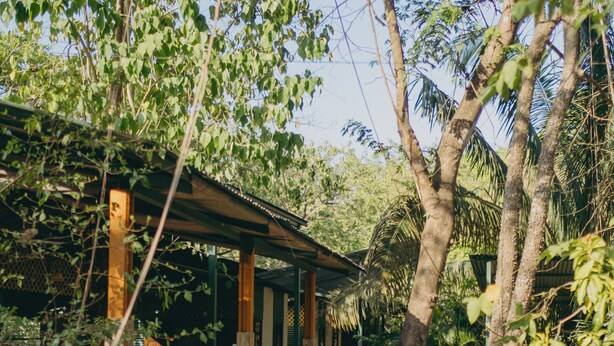 A rustic wooden structure with a covered seating area, surrounded by trees and gravel path. - Chilamate Rainforest Beach Retreat (Nosara)