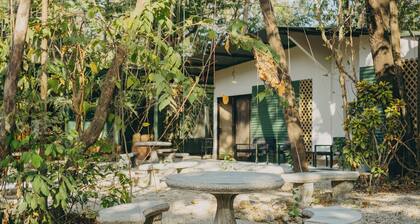 Chilamate Rainforest Beach Retreat