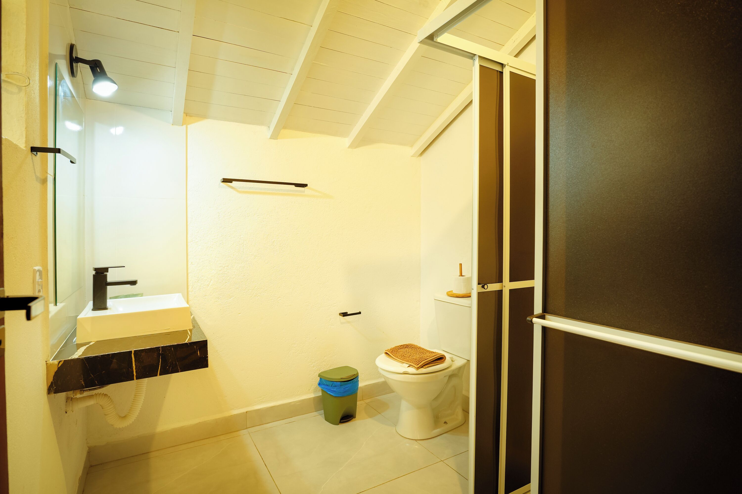 Une salle de bain avec un lavabo blanc, des toilettes et un espace douche.